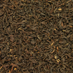 Ceylon FBOP