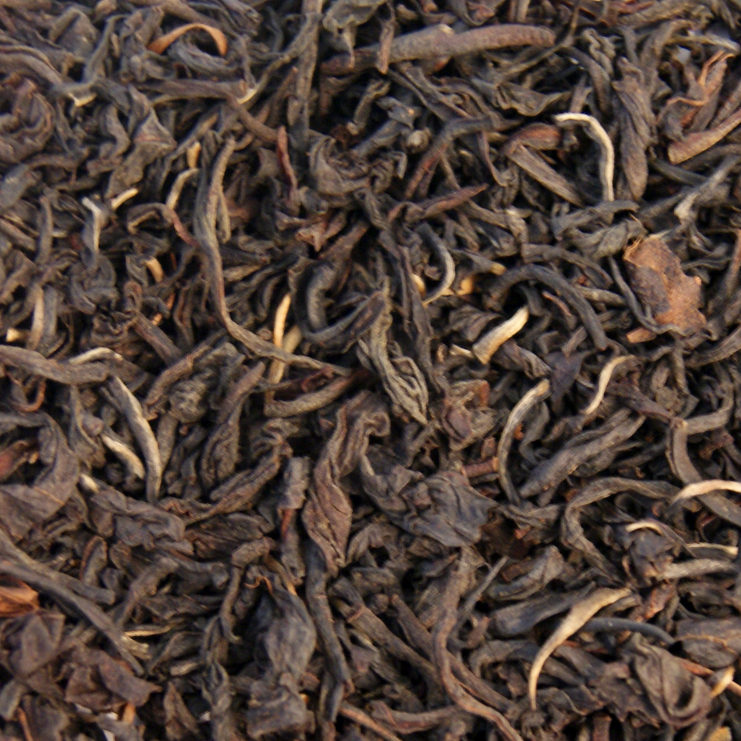 Ceylon FOP 