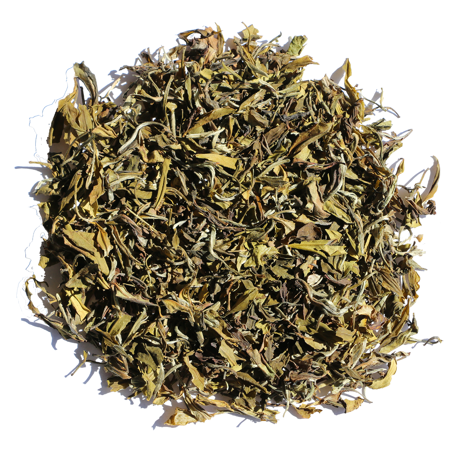 Hvid Darjeeling te SFTFOP1 Balasun EX17