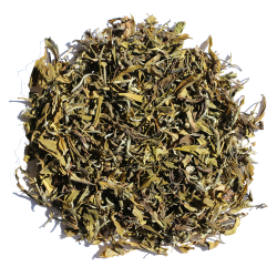 Hvid Darjeeling te SFTFOP1 Balasun EX17