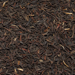 Sydindisk FOP Parks Nilgiri 