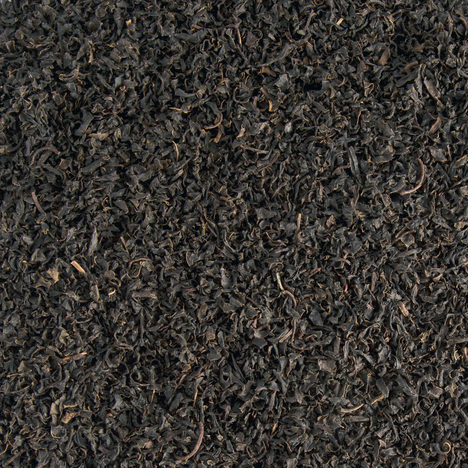 Nilgiri BOP 