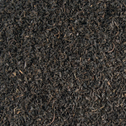 Nilgiri BOP