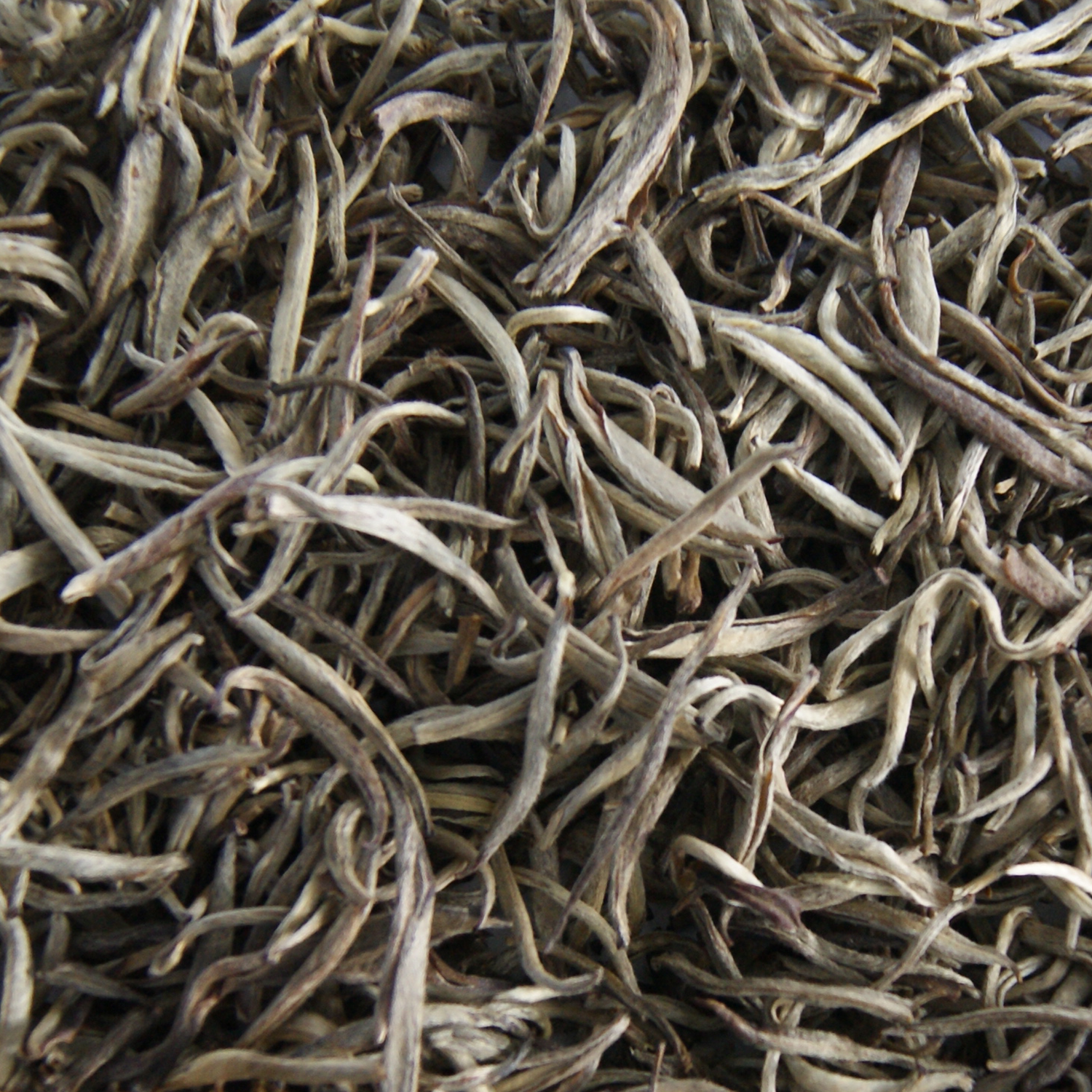 China Jasmin Silver Needle
