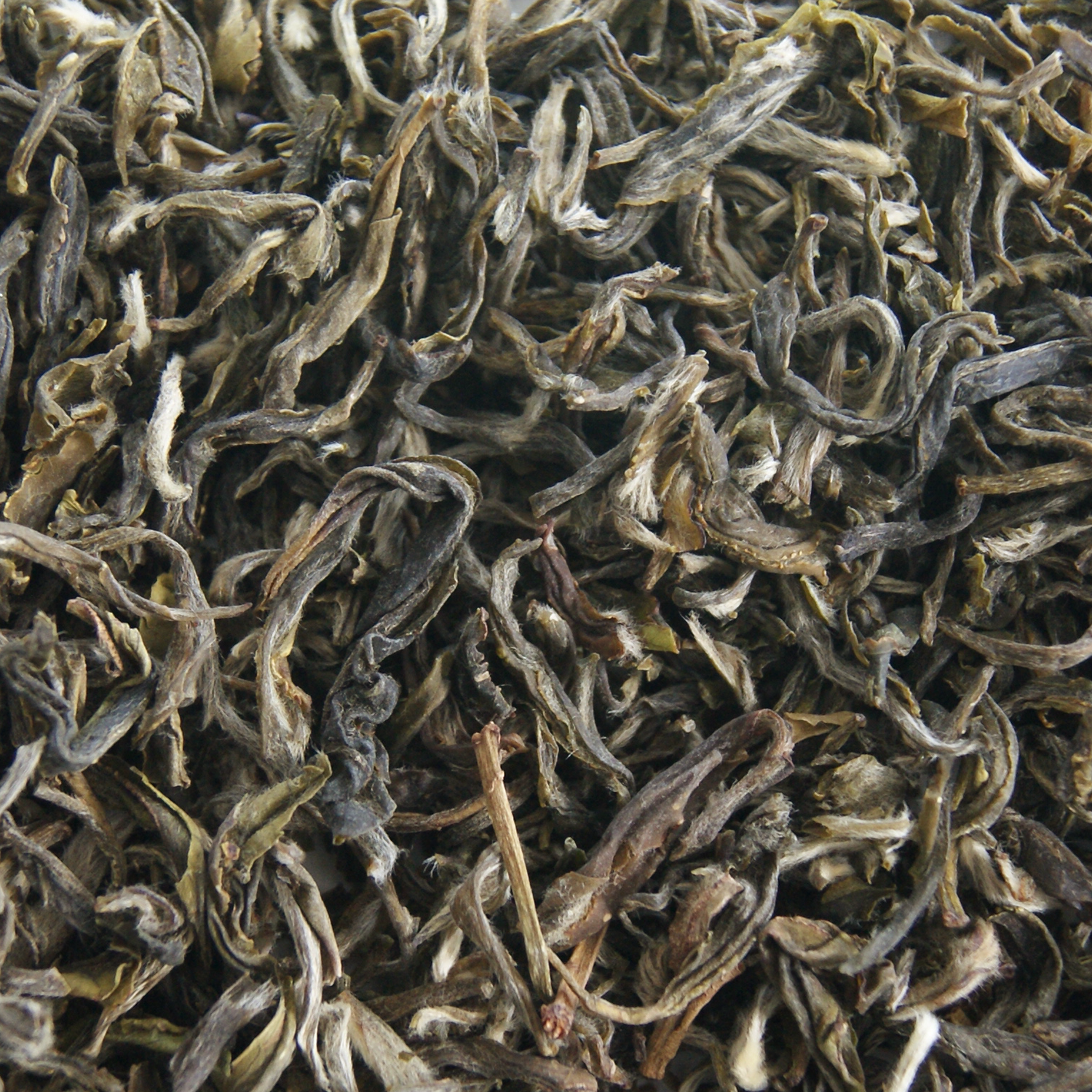 China Green Tea White Monkey 