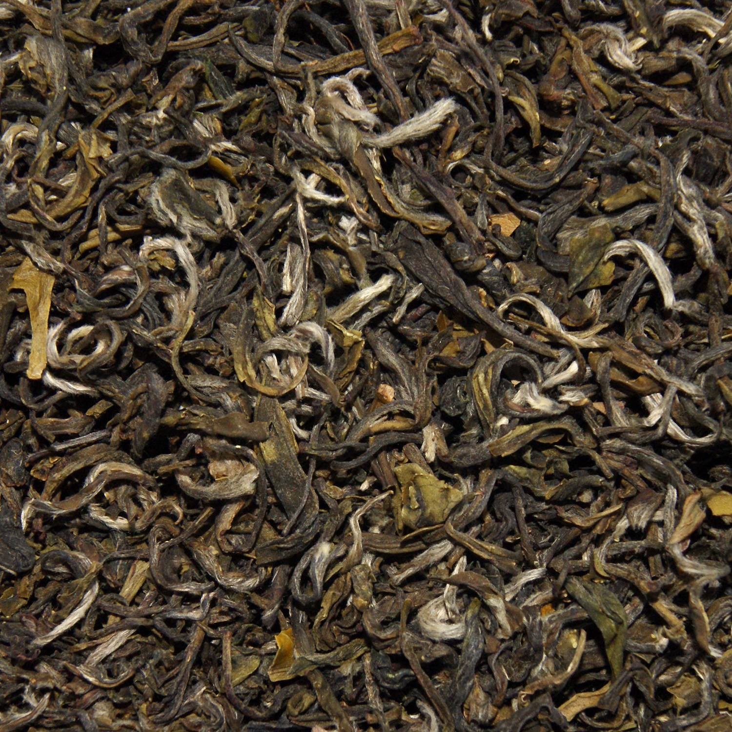 China Green Tea White Downy GW 