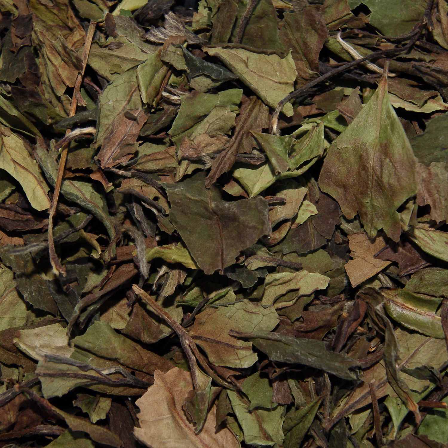 China Pai MuTan 6901(Hvid)