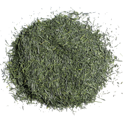 Japan Gyokuro te Kagoshima økologisk 500g