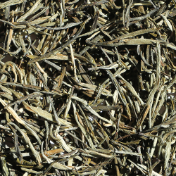 China Shimmering Silk, grøn te økologisk 500g