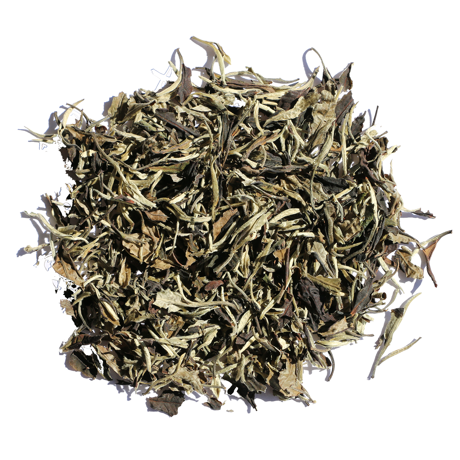 China Moonlight white tea, hvid te kologisk 500g