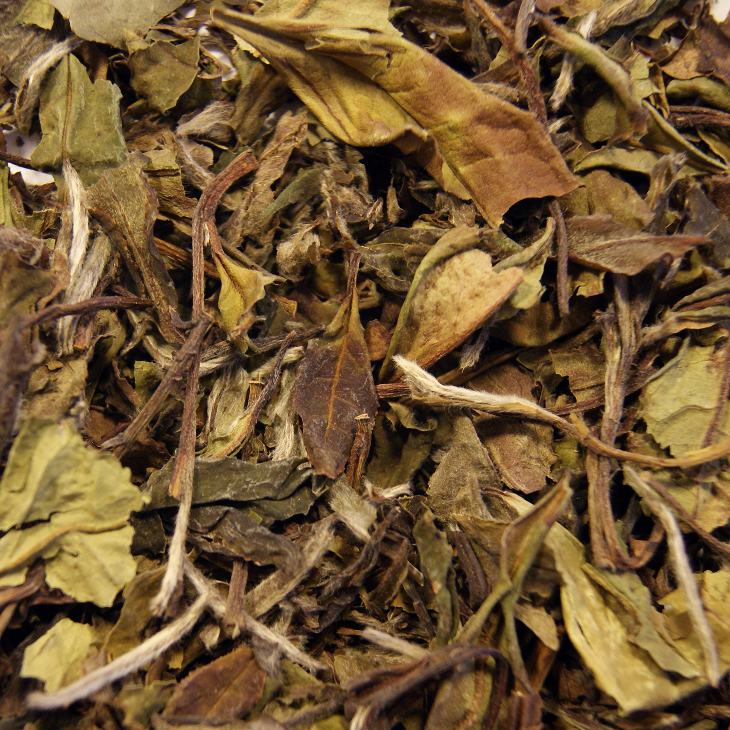 China Pai Mu Tan 6901 ko