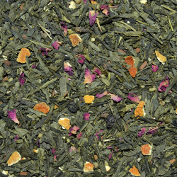 Grøn Sencha Nisse Te