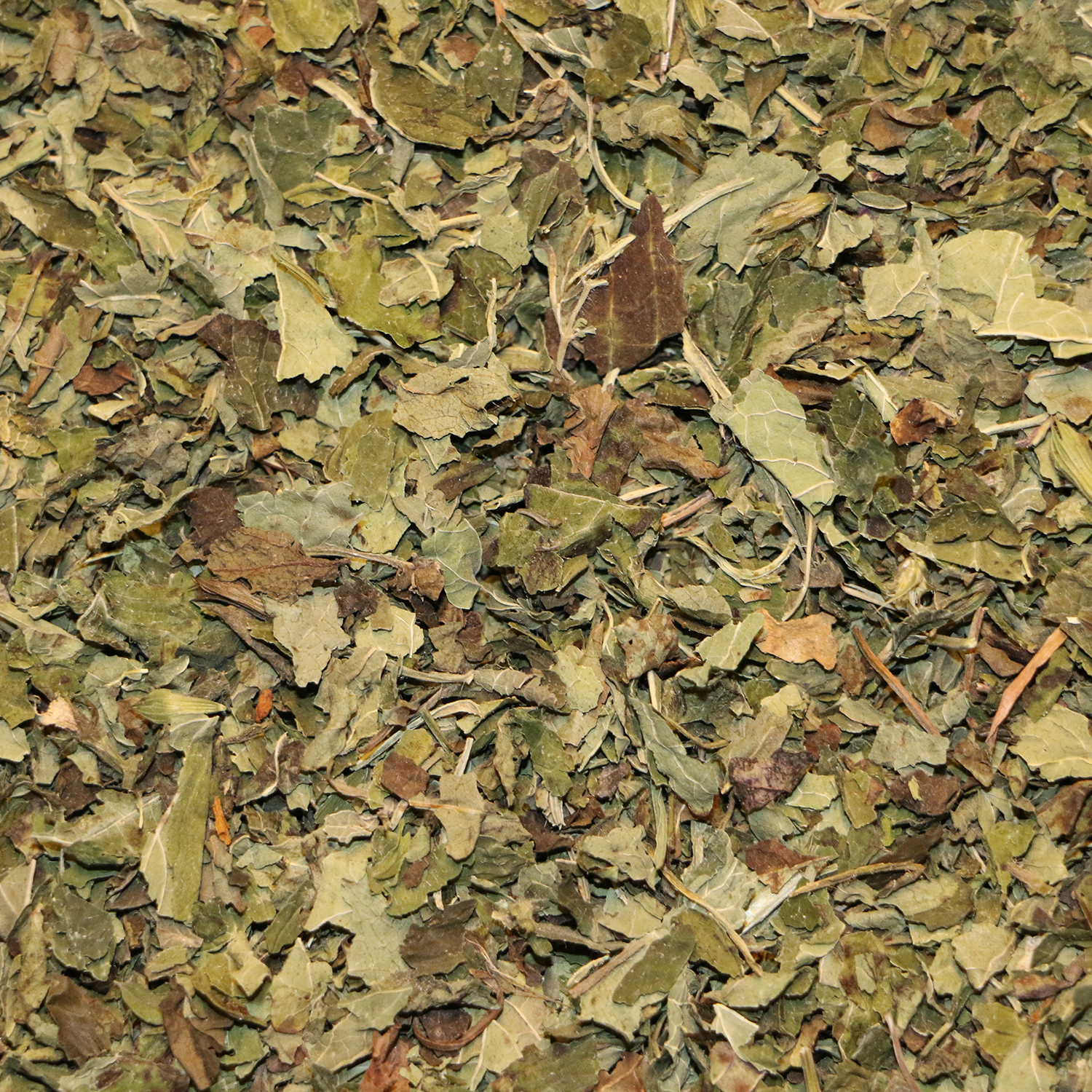 Citronmelisse