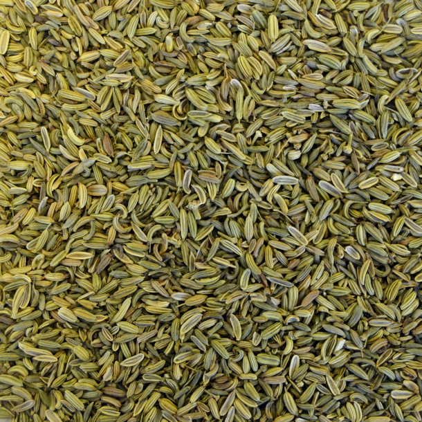 Fennikelkerner 1 kg 1 kg