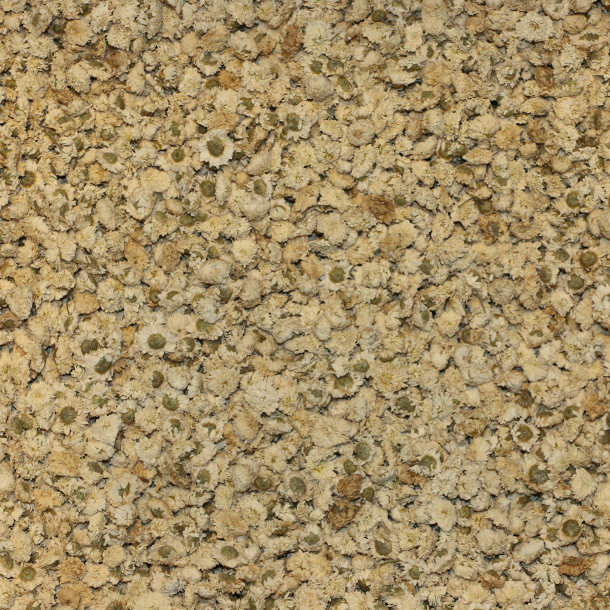 Romersk Kamille 1 kg
