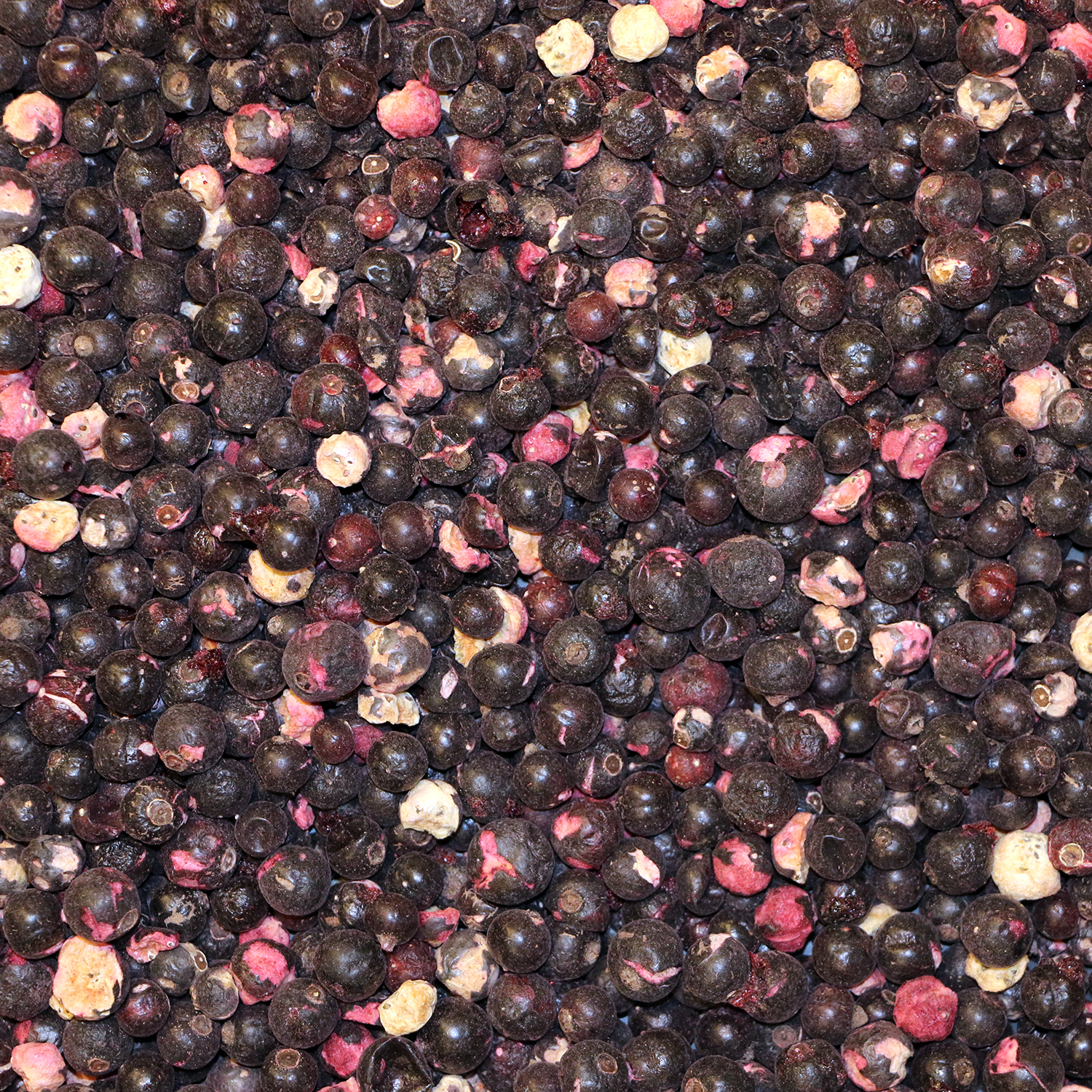Solbr, frysetrrede 500 g