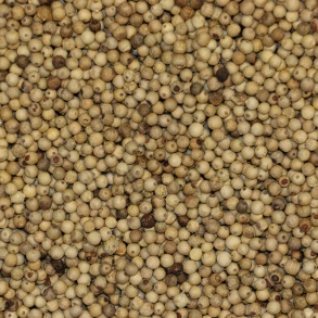 Peber, hel, hvid 1 kg