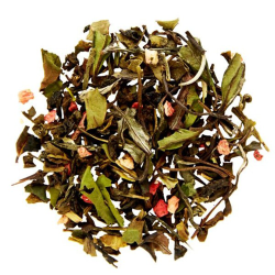 Tivoli te 100 �KO tebreve Chaplon