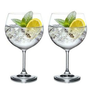 drinksglas med gin og vodka med citroner og blade