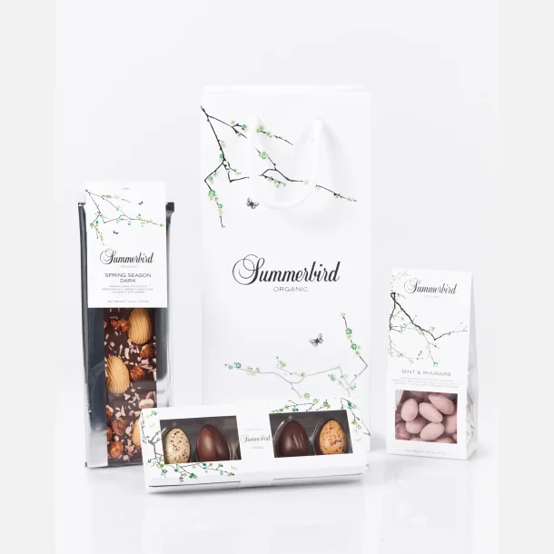 Spring Gift bag