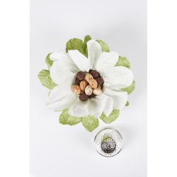 Summerbird P�ske�g Silver - Classic