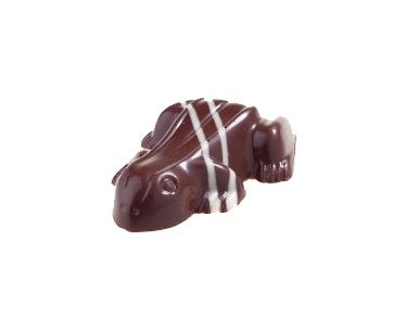 Mint Chokolade Fr