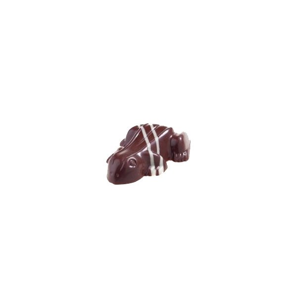 Mint Chokolade Fr