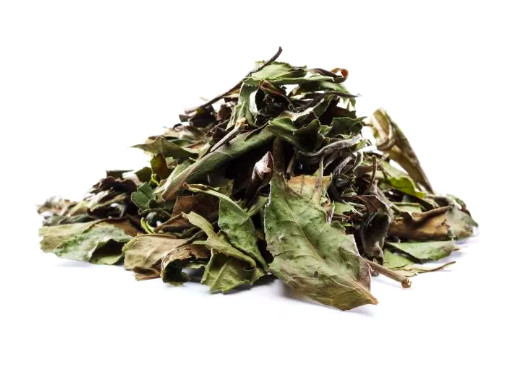 Bai Mu Dan ko
