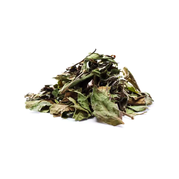Bai Mu Dan ko