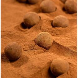 THE BOX - EASTER EGG - THE ORIGINAL