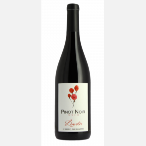 Pays DOC L'envolee Pinot Noir, 2023, Marc Alexandre
