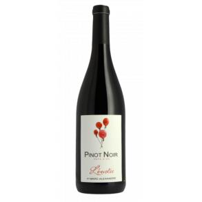 Pays DOC L'envolee Pinot Noir, 2023, Marc Alexandre