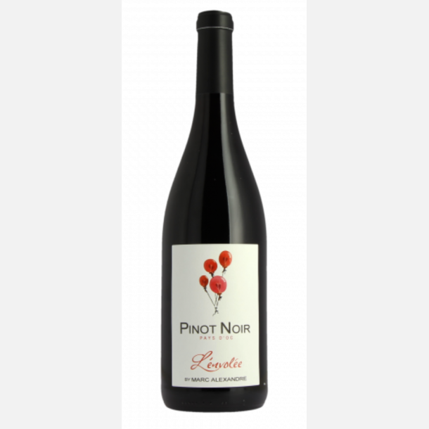 Pays DOC L'envolee Pinot Noir, 2023, Marc Alexandre
