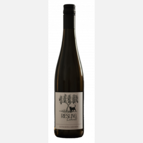 Riesling Kabinett, 2024, Katharina Krieger