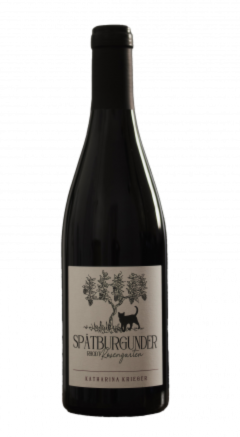  Sp�tburgunder Rhodt Rosengarten, 2021, Katharina Krieger