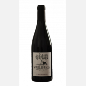  Sp�tburgunder Rhodt Rosengarten, 2021, Katharina Krieger