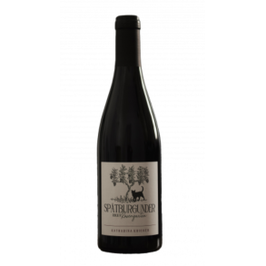  Sp�tburgunder Rhodt Rosengarten, 2021, Katharina Krieger