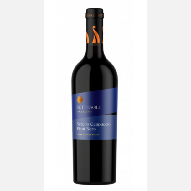Collezione Nerello Cappuccio/Pinot Nero Terre Siciliane IGT, 2024, Settesoli