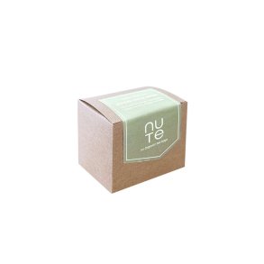 NUTE Ginger Triple Lemon tebreve kologisk, 10 stk