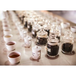 TE EVENT D. 29/11 kl. 16:00-18:00